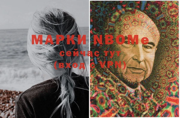 крисы Алзамай